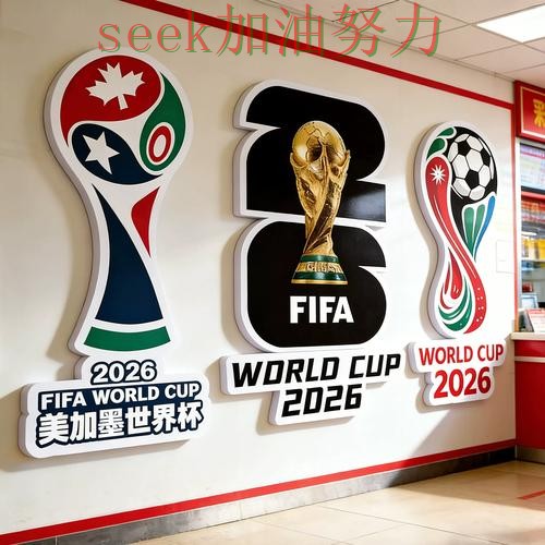 世界杯投注使用指南总结：怎么玩关键点解析（2026世界杯）
